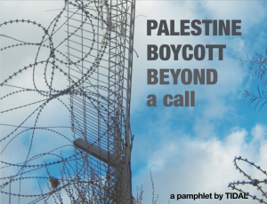 Palestine, Boycott, and Beyond: The Time is Now